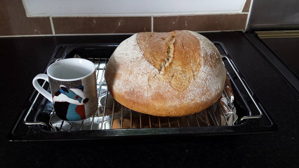 A fresh loaf of bread
